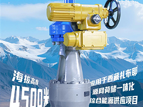 4500米！亿万先生集团服务全球海拔最高的光热电站